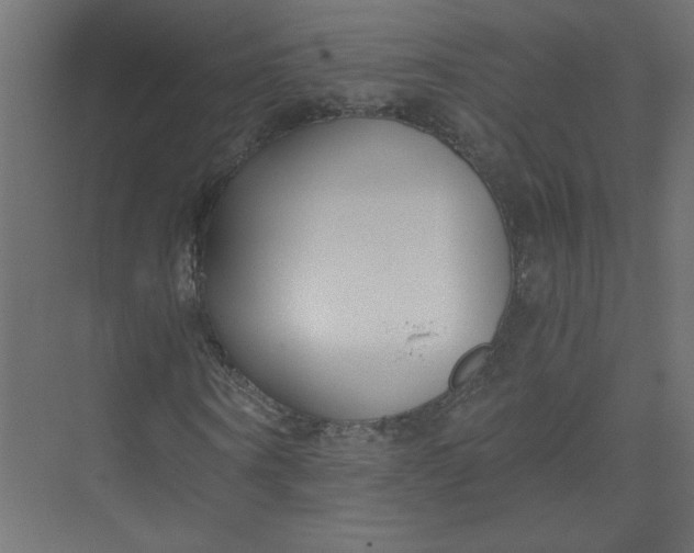 X0000073470866200608181328