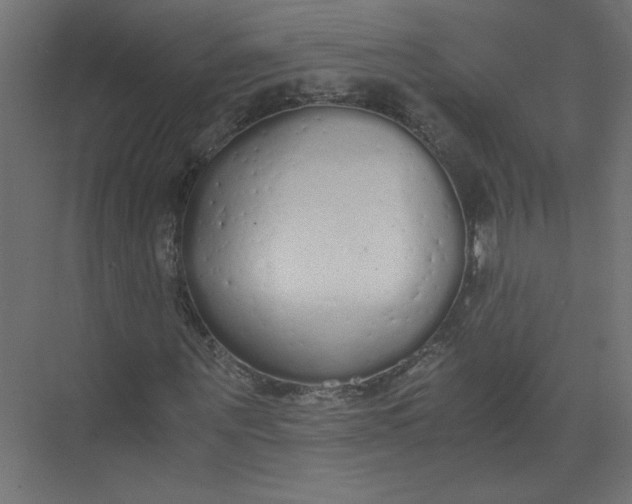 X0000073470867200608181328