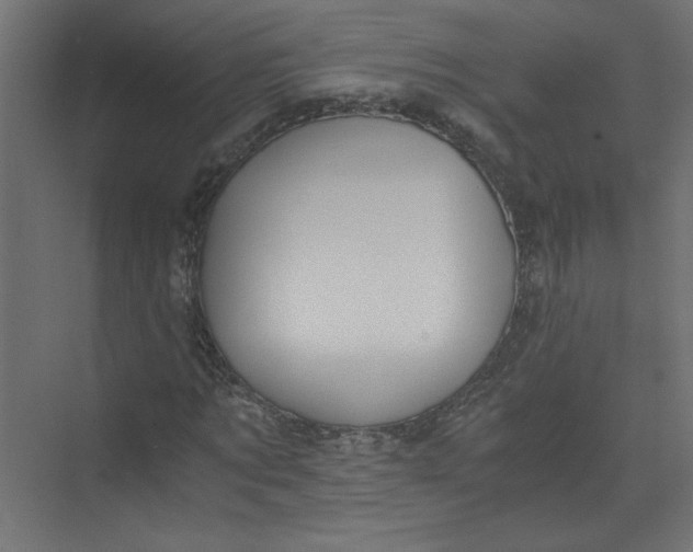 X0000073470869200608181328