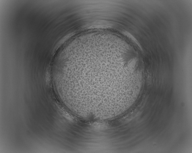 X0000073470874200608181328