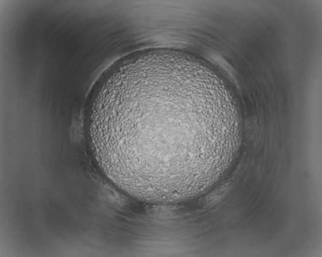 X0000073470875200608181328