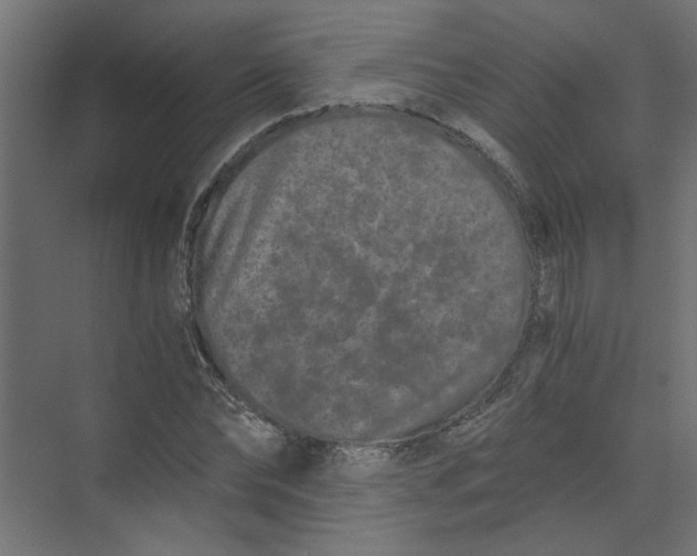 X0000073470878200608181328