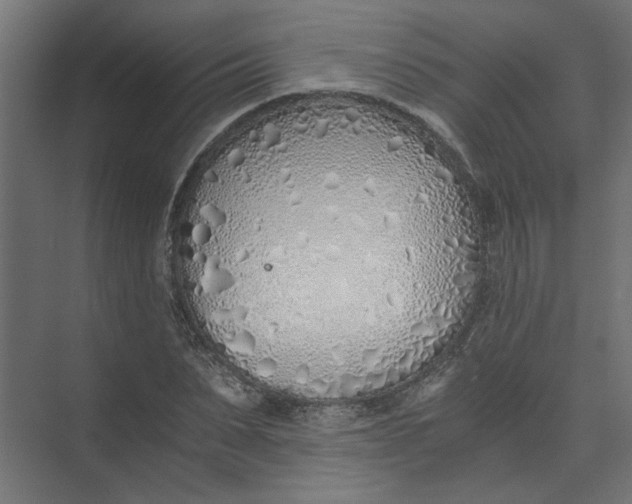 X0000073470879200608181328