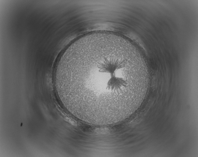 X0000073470882200608181328