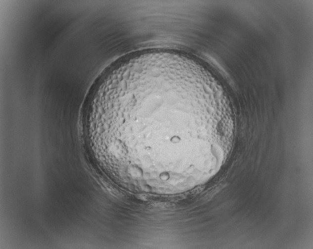 X0000073470883200608181328