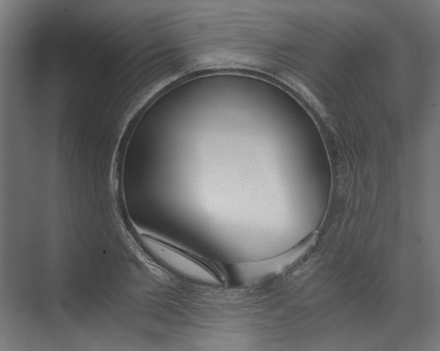 X0000073470885200608181328