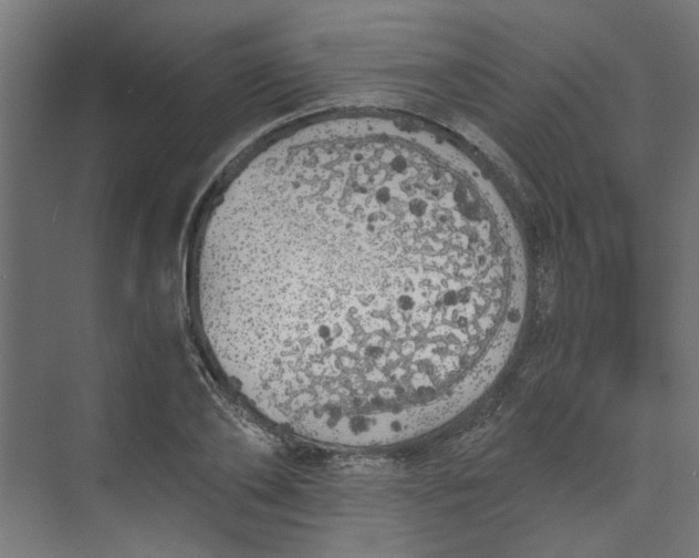 X0000073470886200608181328