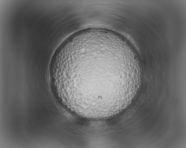 X0000073470887200608181328