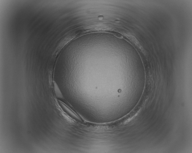 X0000073470889200608181328