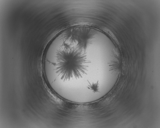 X0000073470890200608181328