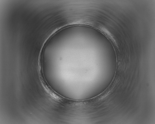 X0000073470892200608181328