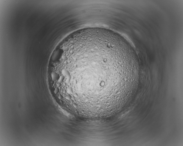 X0000073470895200608181328