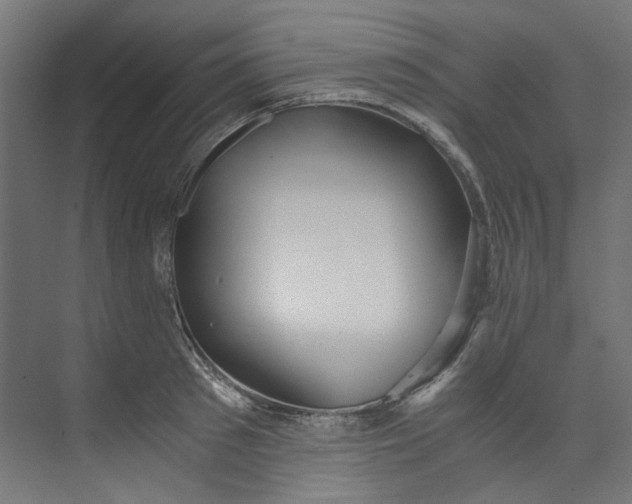 X0000073470897200608181328