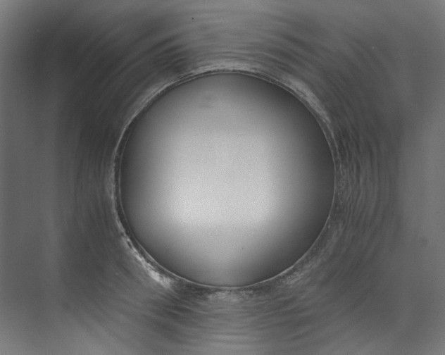 X0000073470898200608181328