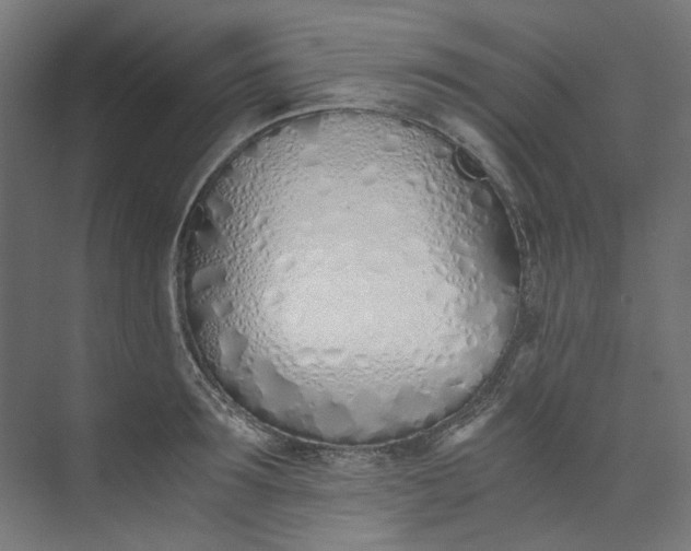 X0000073470899200608181328