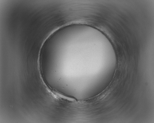 X0000073470902200608181328