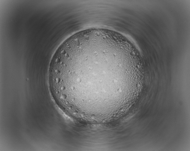 X0000073470903200608181328