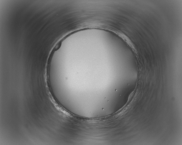 X0000073470904200608181328