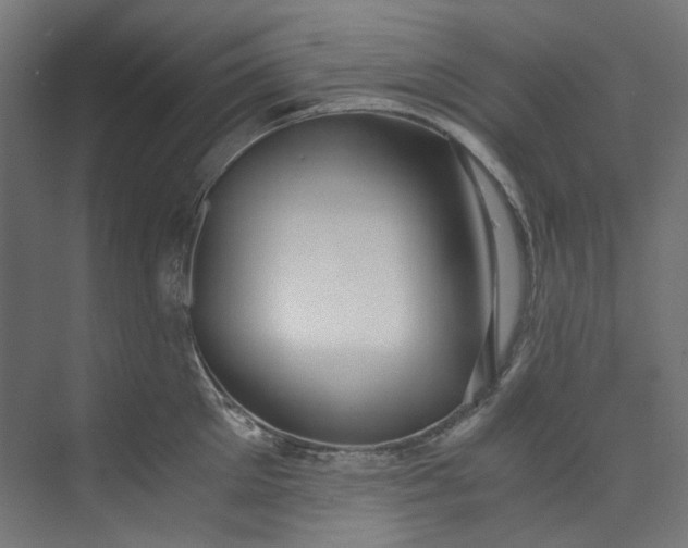 X0000073470905200608181328