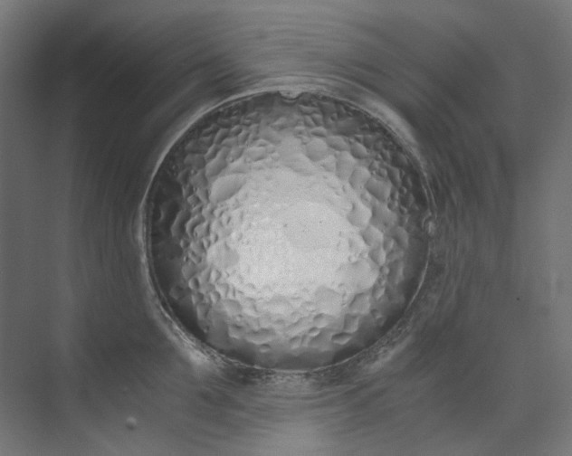 X0000073470907200608181328