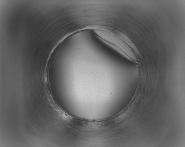 X0000073470908200608181328