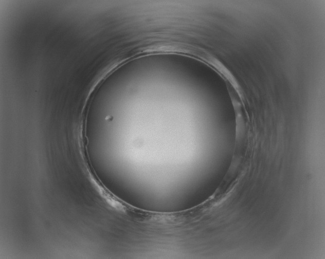 X0000073470909200608181328