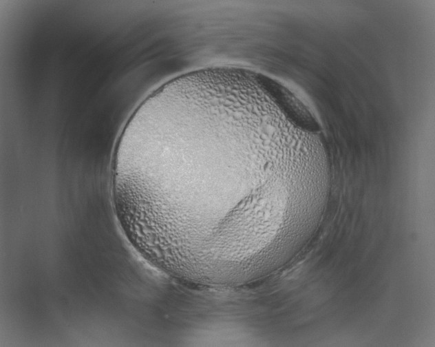 X0000073470911200608181328