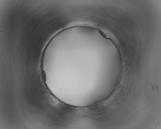 X0000073470912200608181328