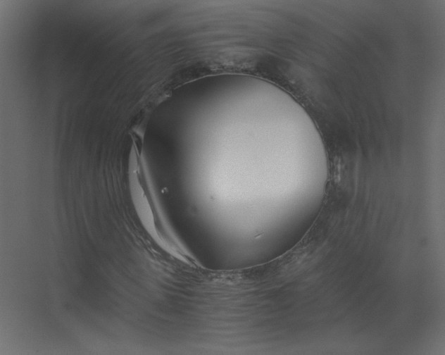 X0000073470915200608181327