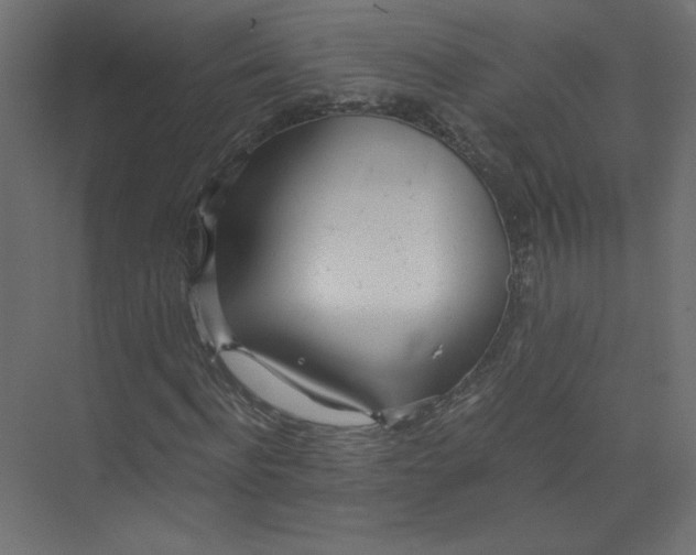 X0000073470916200608181327