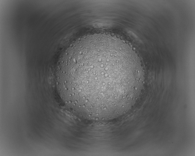 X0000073470917200608181327