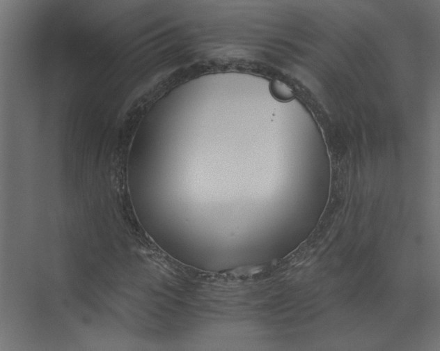 X0000073470919200608181327