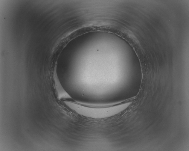 X0000073470920200608181327