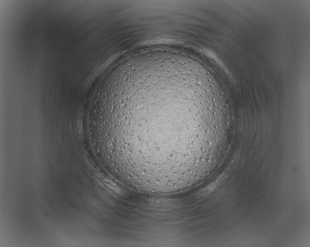 X0000073470921200608181327