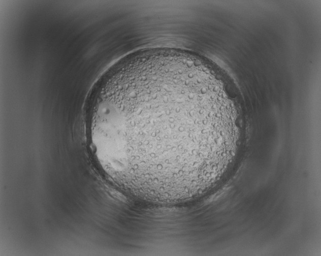 X0000073470925200608181327