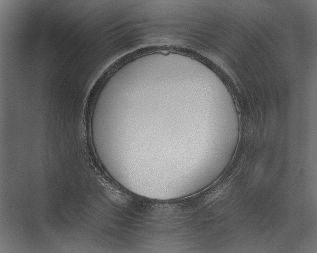 X0000073470927200608181327