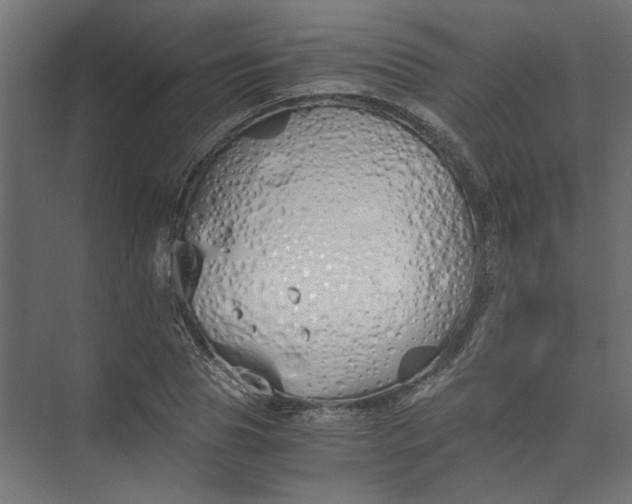 X0000073470929200608181327