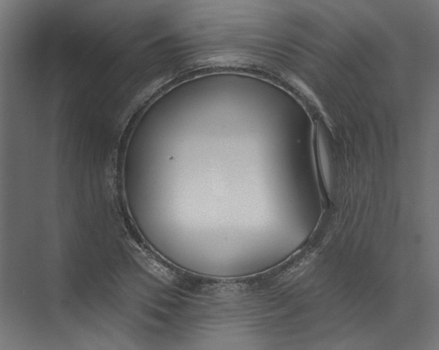 X0000073470930200608181327