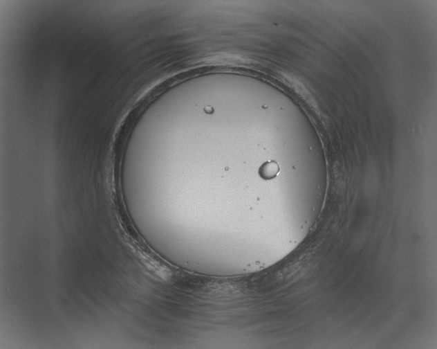 X0000073470931200608181327