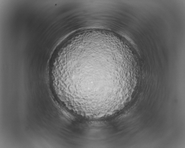 X0000073470933200608181327