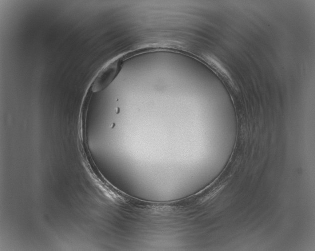 X0000073470940200608181327