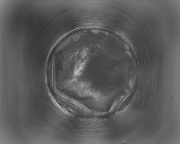 X0000073470941200608181327