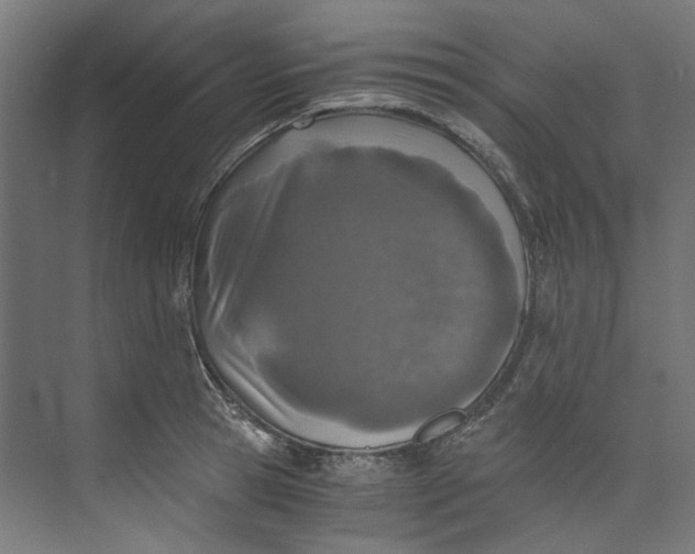 X0000073470945200608181327