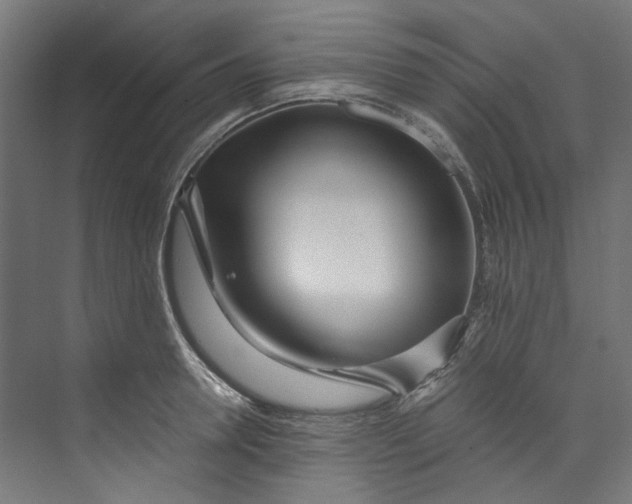 X0000073470946200608181327