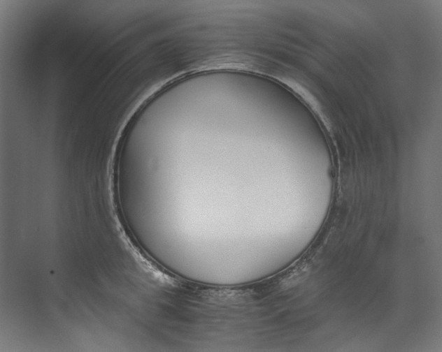 X0000073470949200608181327