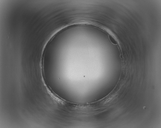 X0000073470951200608181327