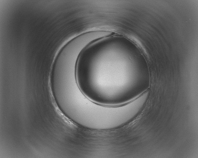 X0000073470952200608181327