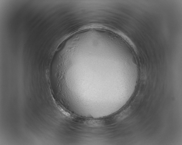 X0000073470953200608181328