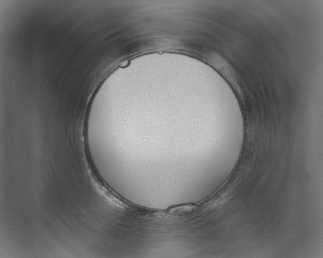 X0000073470954200608181328