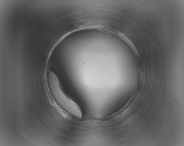 X0000073470956200608181328